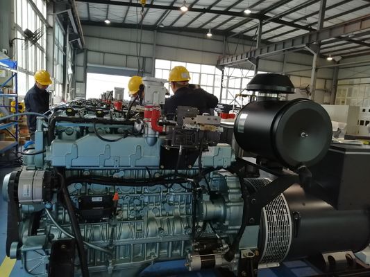 250kW LPG Natural Gas Biogas Electricity Generator 1500RPM